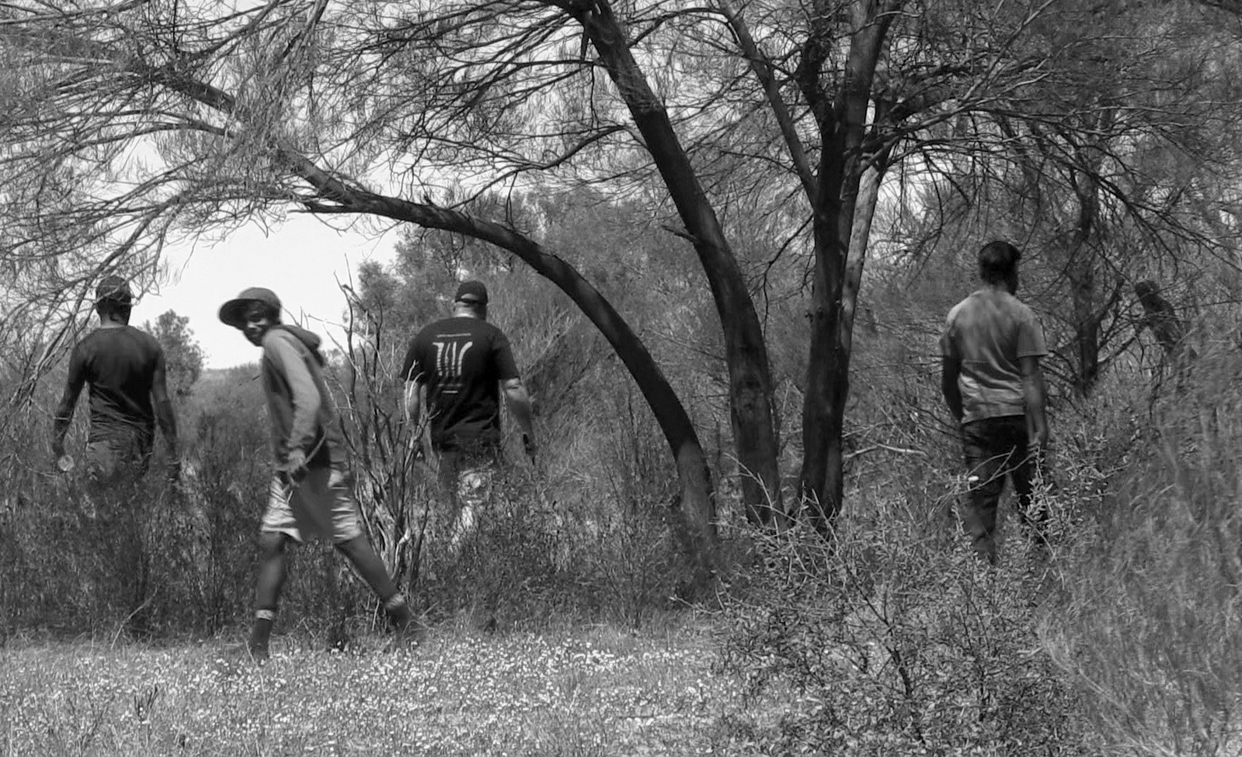 Newsletter Nov 2016 – Taking tjilirra to Santa Teresa