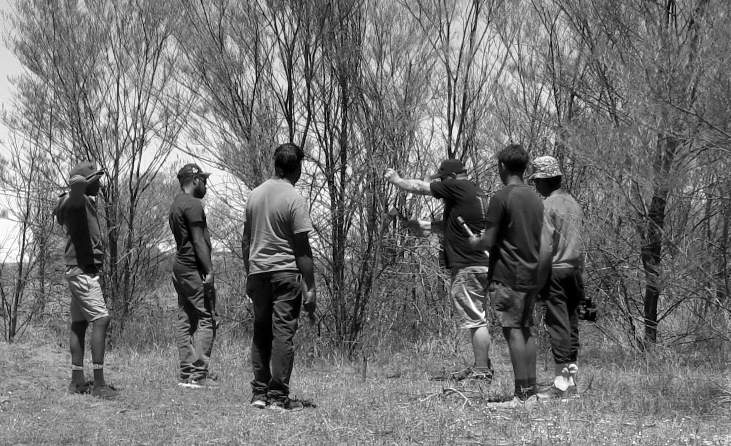Newsletter Nov 2016 – Taking tjilirra to Santa Teresa