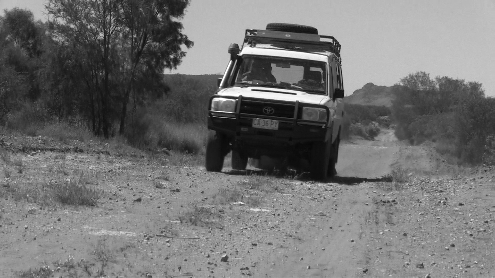 Newsletter Nov 2016 – Taking tjilirra to Santa Teresa
