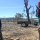 Robert Hoosan, our SFLTFL Cultural Consultant, demonstrates how to make a boomerang at the Desert Knowledge Precinct